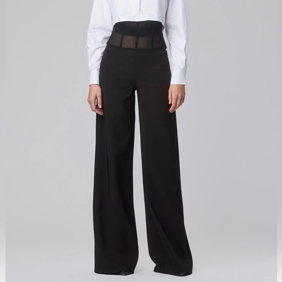 Murmur Sheer Waist Corset Pants Mesh FRAME TROUSERS palazzo wide leg boning mur - Picture 5 of 16